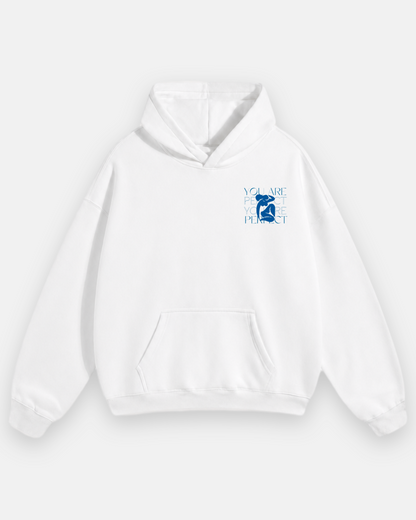 PERFECT Oversized Hoodie
